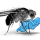 Illustration for article titled You Are Not a Fruit Fly: Why You Should Side-Eye Science Headlines